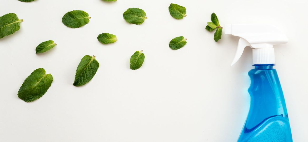 ako-zvladnut-alergeny-v-domacnosti-upratovanie-cez-jarnu-sezonu